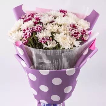 Букет из белых и бело-сиреневых хризантем «Удивляй»