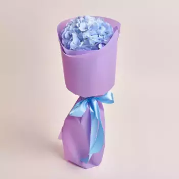 Букет из голубой гортензии в фиолетовой пленке