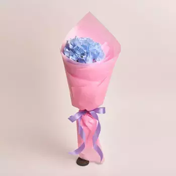 Букет из голубой гортензии в розовой пленке