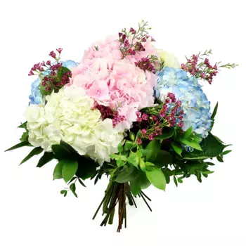 Букет из гортензий и ваксфловера «Валентина»