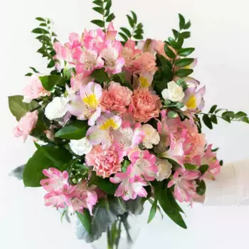 Букет из гвоздик и альстромерий «Зинаида»