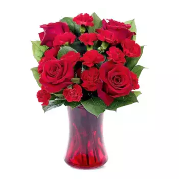 Букет из красных роз и гвоздик «Алевтина»