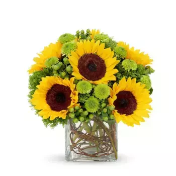 Букет из подсолнухов и хризантем «Алла»