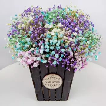 Букет из радужных гипсофил в коробке «Конфеты»