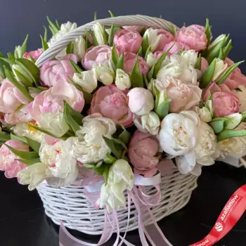 Букет из розовых и белых пионов и белых тюльпанов