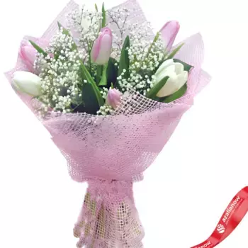 Букет из розовых и белых тюльпанов и гипсофил