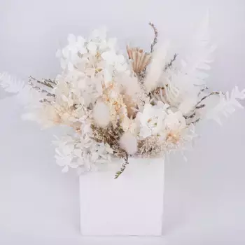 Букет из сухоцветов «Снежное кружево»