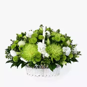 Букет из зеленых хризантем и белых лизиантусов «Роза»