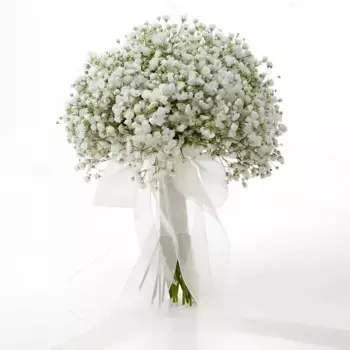 Букет невесты из 5 белых гипсофил с белой лентой