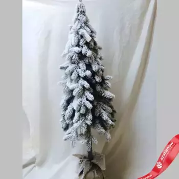 Ель заснеженная в кашпо, 150см, вид 1