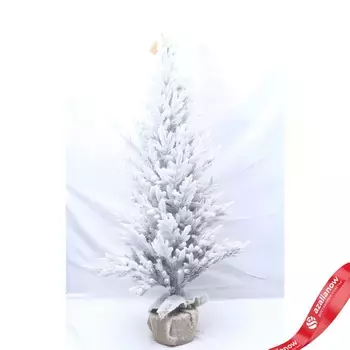 Ель заснеженная в кашпо, 150см, вид 2