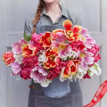 Луковицы тюльпанов «Пёрфект Пэррот»