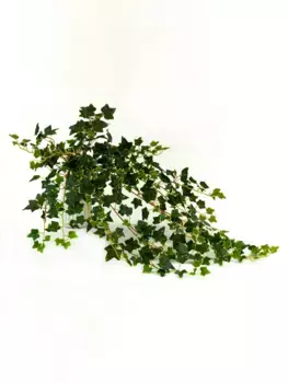 Плющ Искусственный 90 см Зеленый