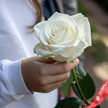 Роза белая, Эквадор, 60см