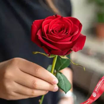 Роза красная, Эквадор, 60см