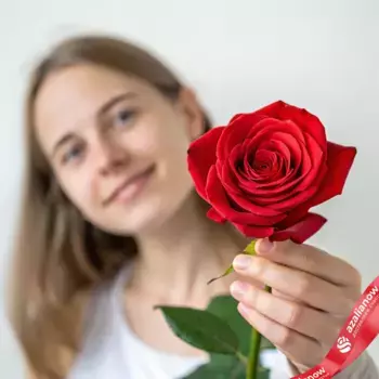 Роза красная, Кения, 40см