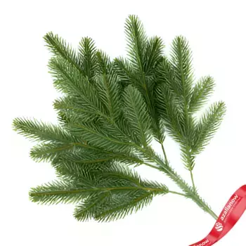 Ветка еловая, 44см, зеленый