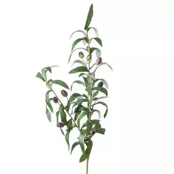 Ветка Искусственный олива 72 см Зеленый