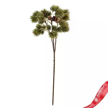 Ветка с шишками, 73см, зеленый