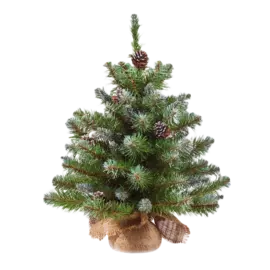 Елка настольная Triumph «Императрица», с шишками, заснеженная, 60 см