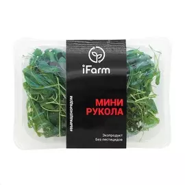 Мини-руккола, iFarm, 50 г, Москва, Россия