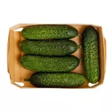 Огурцы короткоплодные 300 г Россия