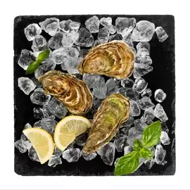 Устрицы Черноморские Крым Россия