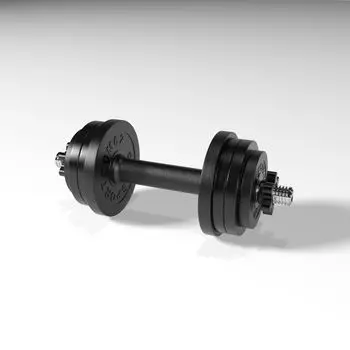 Гантель разборная BARFITS Sportcom D26 24кг