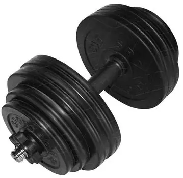 Гантель разборная BARFITS Sportcom D26 29кг