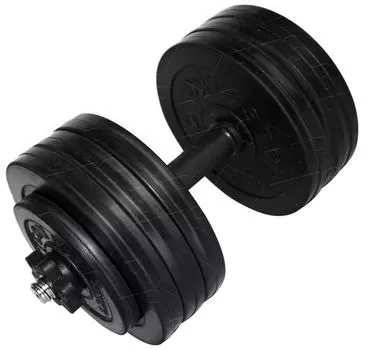 Гантель разборная BARFITS Sportcom D26 34кг