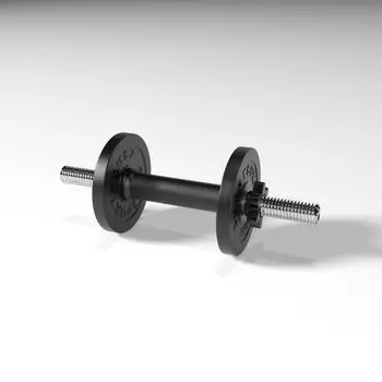 Гантель разборная BARFITS Sportcom D26 9.5кг