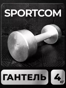 Гантель Sportcom неразборная металлическая 4 кг