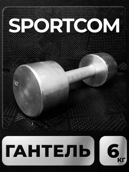 Гантель Sportcom неразборная металлическая 6 кг