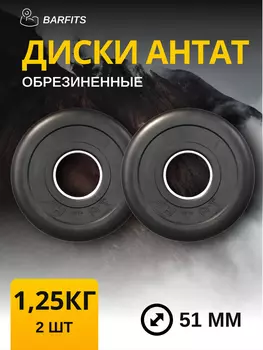 Комплект Дисков Антат 51мм 1.25кг. / 2 шт.