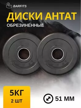 Комплект Дисков Антат 51мм 5кг. / 2 шт.
