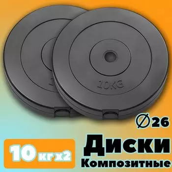 Комплект Дисков PROFIGYM 10кг. / 2 шт.