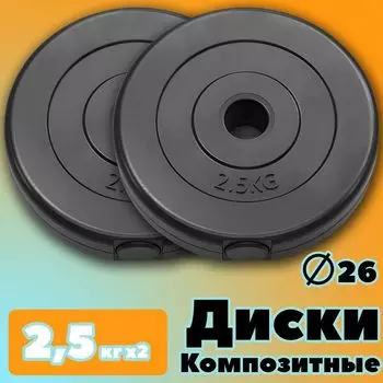 Комплект Дисков PROFIGYM 2.5кг. / 2 шт.