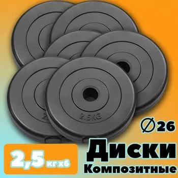 Комплект Дисков PROFIGYM 2.5кг. / 6 шт.