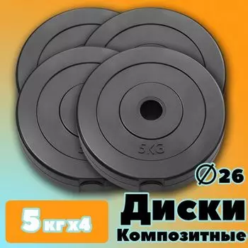 Комплект Дисков PROFIGYM 5кг. / 4 шт.