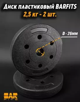 Комплект пластиковых дисков d26 2.5кг х2шт