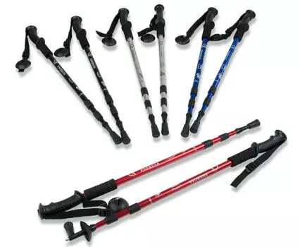 Палки для скандинавской ходьбы Energia, пластик