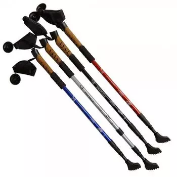 Палки для скандинавской ходьбы Energia, пробка