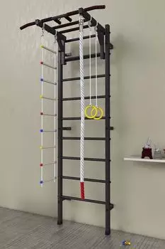 Шведская стенка + турник рукоход + кольца + лесенка + канат