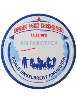 Съемный шеврон BASK