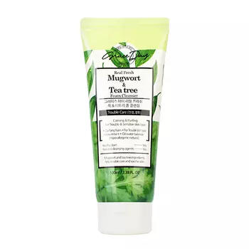 Grace Day Real Fresh Mugwort & Tea Tree Foam Cleanser