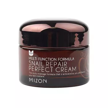 Mizon Snail Repair Perfect Cream