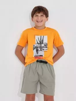 Шорты