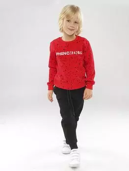 Толстовка+брюки