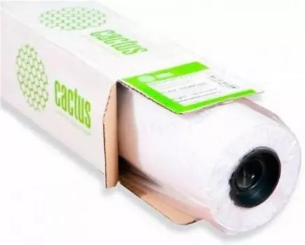 Фотообои Cactus CS-WP2500-1X30 1000мм-30.5м/150г/м2 матовое шероховатая для УФ печати