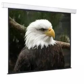 Экран 116" ScreenMedia Champion SCM-4304